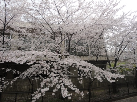 DSC01802小.JPG