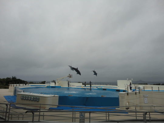 DSC01998.JPG