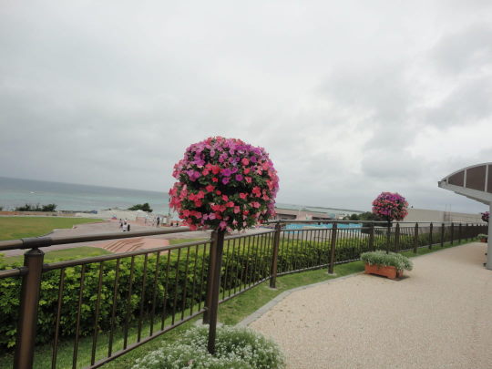 DSC02015.JPG