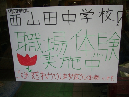 IMGP1919.jpg