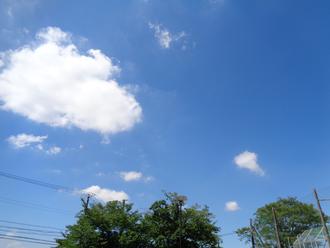 DSC02784.JPG