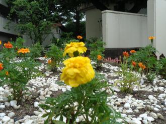 DSC02755.JPG