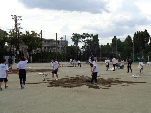DSC01240.JPG