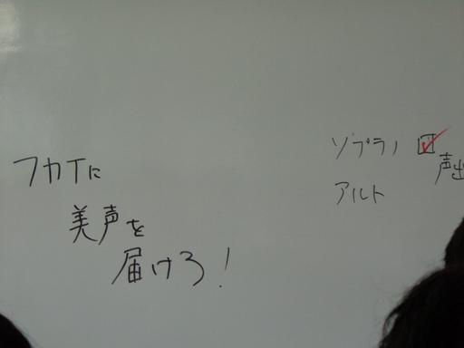 DSC01261.JPG
