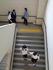 DSC01148.JPG