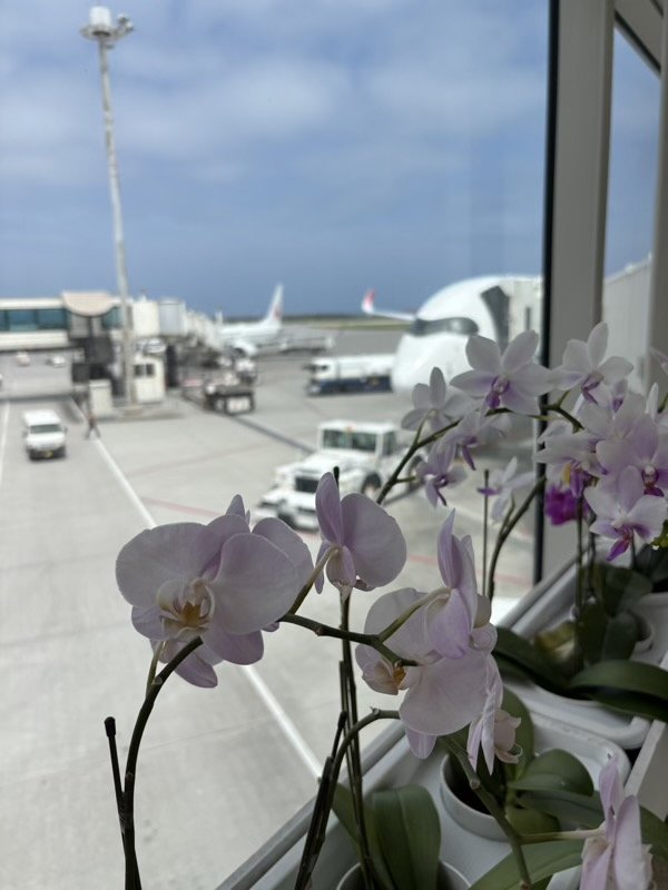 IMG_0832.jpeg
