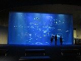 IMG_4898.jpg