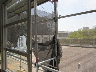 IMG_4430.jpg