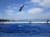 IMG_4928.jpg