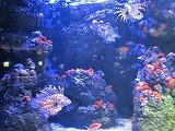 IMG_4883.jpg