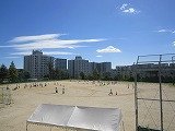 IMG_5391.jpg
