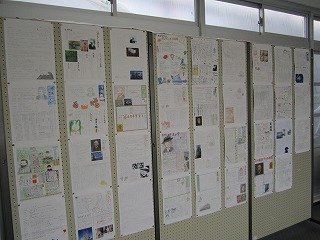 IMG_4446.jpg