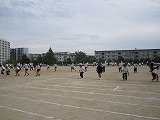 IMG_3980.jpg