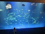 IMG_4186.jpg