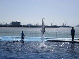 IMG_4198.jpg