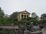 IMG_4217.jpg