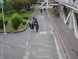 IMG_4267.jpg
