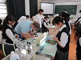 IMG_4330.jpg
