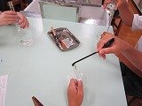 IMG_4386.jpg
