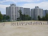 IMG_4532.jpg