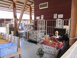 IMG_4836.jpg