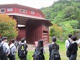 IMG_4841.jpg