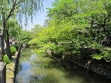 IMG_5026.jpg