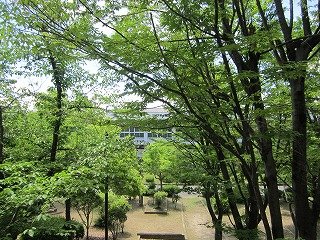 IMG_5065.jpg