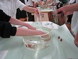 IMG_5310.jpg