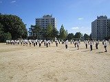 IMG_5390.jpg