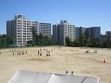 IMG_5393.jpg