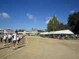 IMG_5428.jpg