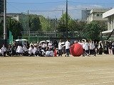 IMG_5440.jpg