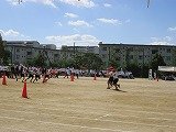 IMG_5449.jpg