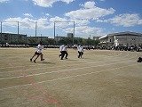 IMG_5482.jpg