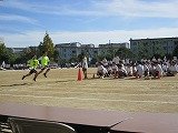 IMG_5503.jpg