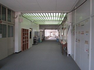IMG_4424.jpg