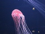 IMG_4886.jpg