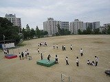 IMG_4313.jpg
