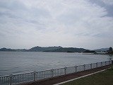 IMG_4263.jpg