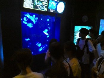WIN_20250530_08_55_16_Pro.jpg