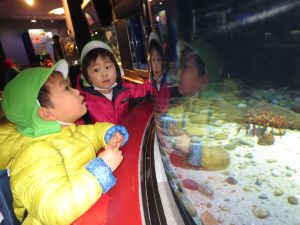 http://blog.suita.ed.jp/kin/02-dai3/youtien/1.13haruebi.jpg