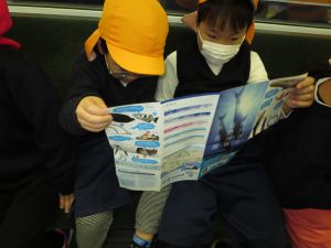 http://blog.suita.ed.jp/kin/02-dai3/youtien/1.13kingyo.jpg