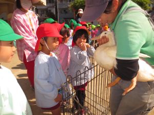 http://blog.suita.ed.jp/kin/02-dai3/youtien/10.24ahirunokutinonaka.jpg