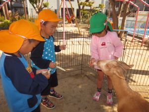 http://blog.suita.ed.jp/kin/02-dai3/youtien/10.24gohandouzo.jpg