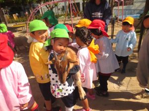 http://blog.suita.ed.jp/kin/02-dai3/youtien/10.24minadedako.jpg