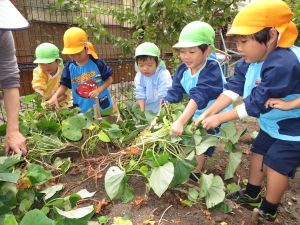 http://blog.suita.ed.jp/kin/02-dai3/youtien/11.12turuhku4sai.jpg