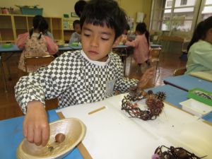 http://blog.suita.ed.jp/kin/02-dai3/youtien/11.25gizai2.jpg