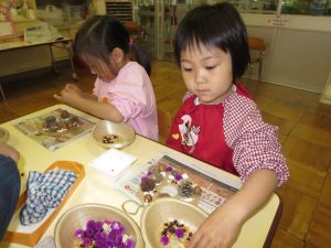 http://blog.suita.ed.jp/kin/02-dai3/youtien/11.26yui.jpg