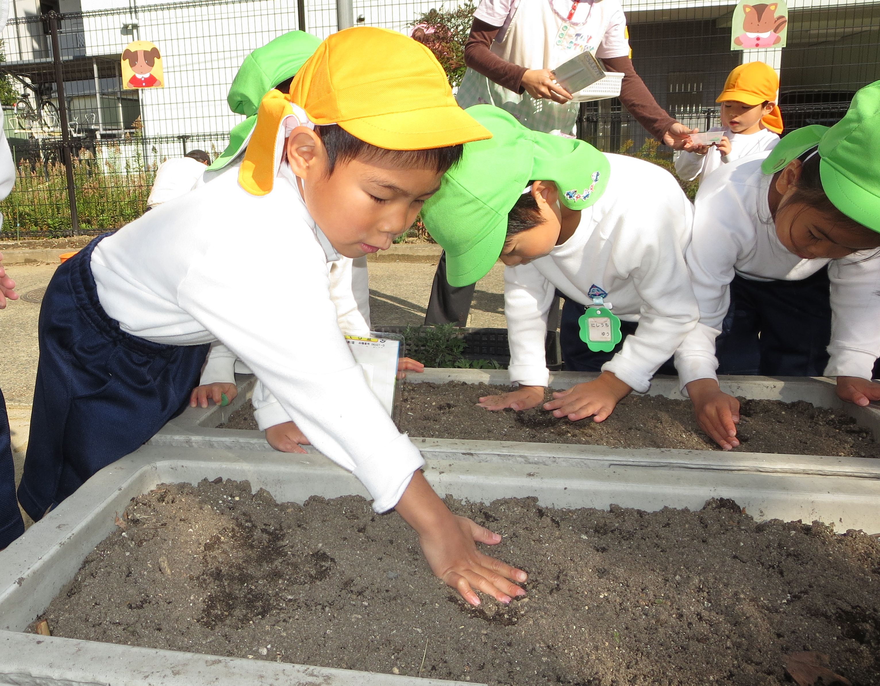 http://blog.suita.ed.jp/kin/02-dai3/youtien/11.28enfdoumameue.jpg